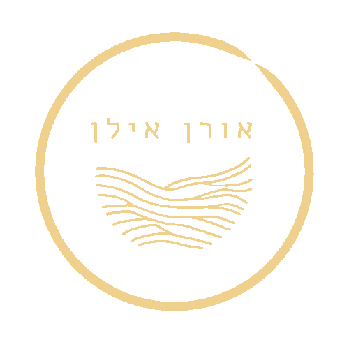 אורן אילן - מומחה לבינה מלאכותית לעסקים